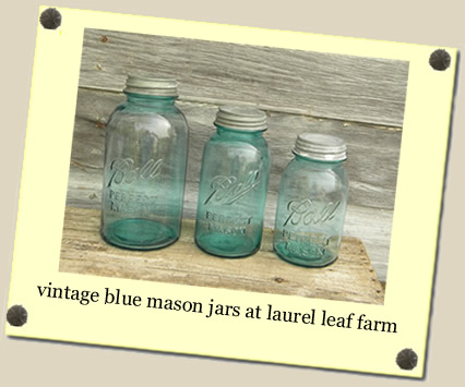 vintage blue mason jars at Laurel Leaf Farm