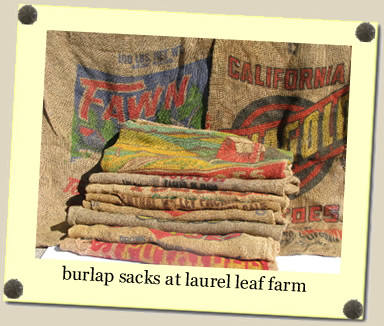 burlap sacks at Laurel Leaf Farm