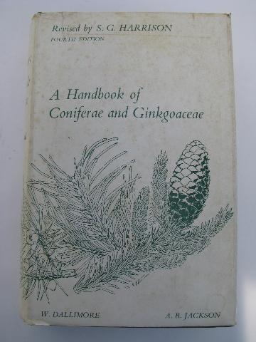 1920s Handbook of Coniferae and Ginkgoaceae vintage tree botany text book
