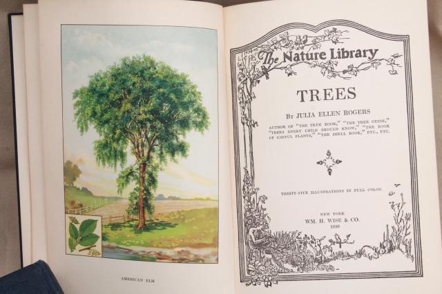 1930s vintage natural history books w/ color plates, butterflies, trees, flower illustrations