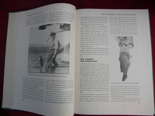 1940s illustrated Outdoor Life Cyclopedia dog training, fishing etc.