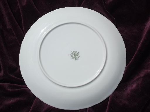1953 Coronation of Queen Elizabeth, vintage English bone china plate