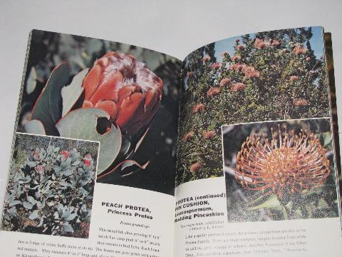 60s - 70s color photo illustrated booklets, tropical Caribbean flowers, African Blossoms
