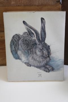 Albrecht Durer young hare print on stretched canvas, vintage art reproduction