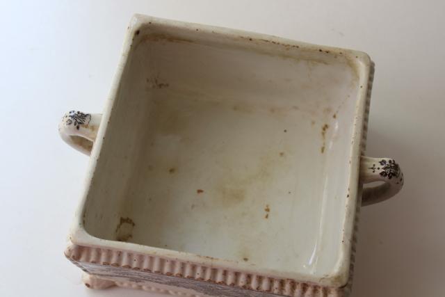 Alexandria palm leaf pattern brown transferware, aesthetic antique china square honey box