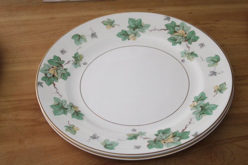American Ivy cream  green border dinner plates set of 8, vintage Pope Gosser china