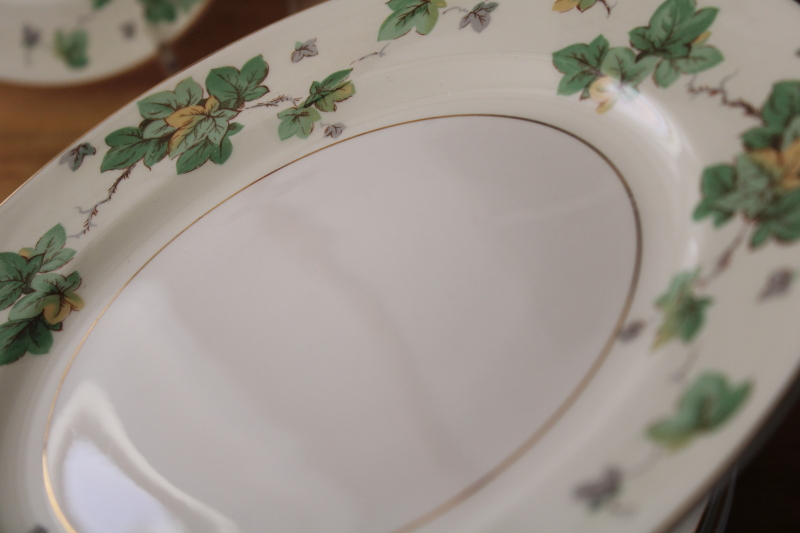 American Ivy cream  green border dinner plates set of 8, vintage Pope Gosser china