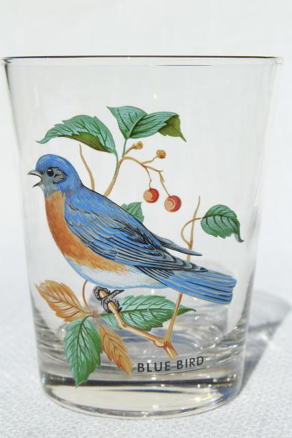 American Song Birds Set Vintage On The Rocks Glasses, West Virginia Glass