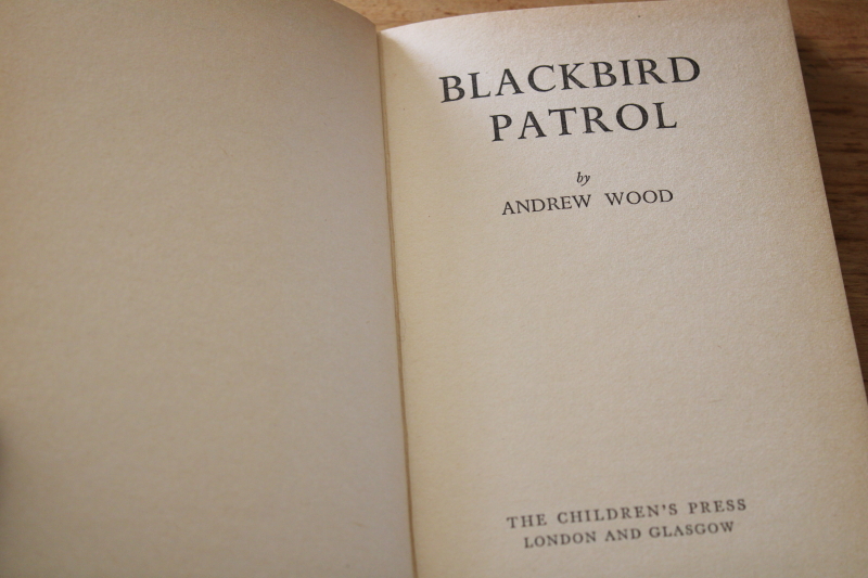 Blackbird Patrol, early 1900s vintage childrens book, historical story fighting the slave ships