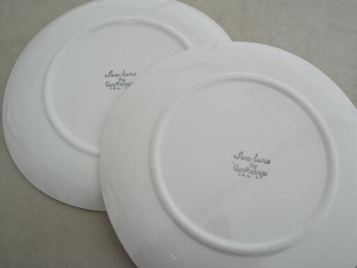 Crooksville Iva-Lure wildflower dinner plates, vintage china dinnerware