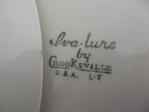 Crooksville Iva-Lure wildflower dinner plates, vintage china dinnerware