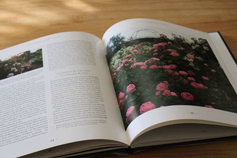David Austins English Roses, tons of photos cutting gardens, catalog of rose varieties