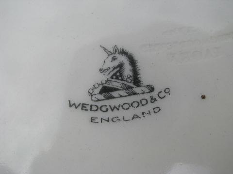 English county hunt horses & riders, vintage Wedgwood - England china plate