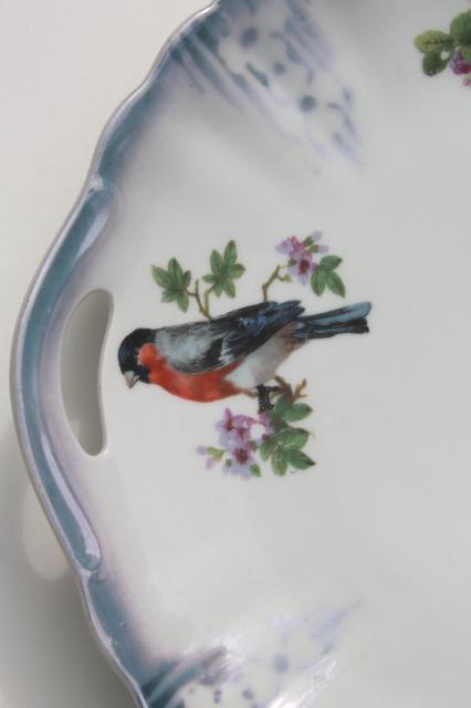 English songbirds vintage china cake plate or sandwich tray, shabby cottage chic