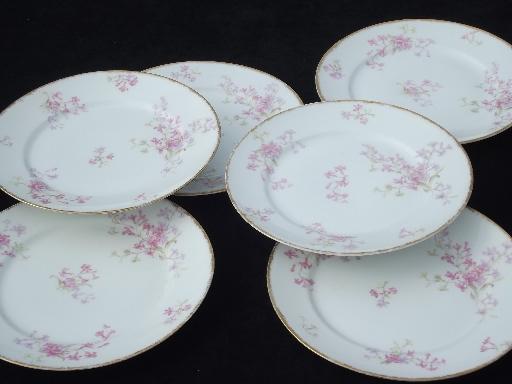 GDA Charles Field Haviland Limoges vintage pink floral china plates
