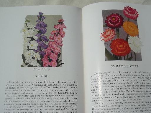 Garden Flowers in color, lovely vintage hand-colored botanical photos