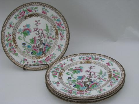India or Indian Tree, antique vintage Royal Doulton china plates