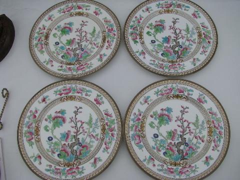 India or Indian Tree, antique vintage Royal Doulton china plates