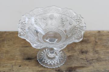 Indiana horsemint wildflower pattern, EAPG vintage pressed glass compote circa 1915
