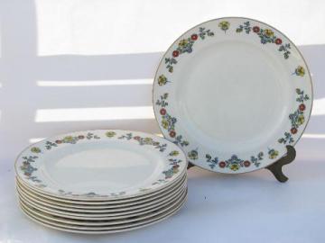 Lucerne swiss folk art pattern vintage Johnson Bros china plates