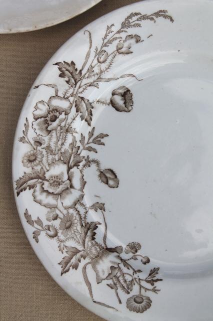 Meakin - Essex antique brown transferware ironstone china plates poppies & wildflowers