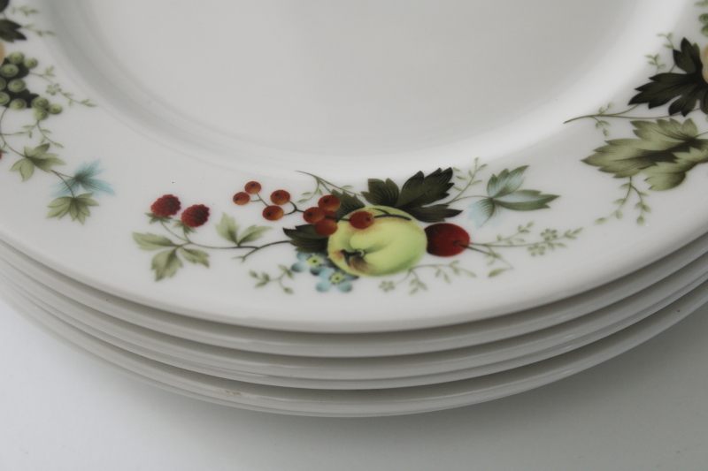 Miramont fruit pattern vintage Royal Doulton English translucent china salad plates set of 6