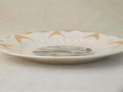 N R Ambrose Oil Tripoli Iowa china plate, antique advertising piece