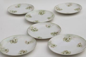 RS Germany china plates, antique dessert set dishes w/ hand painted flowers & luster