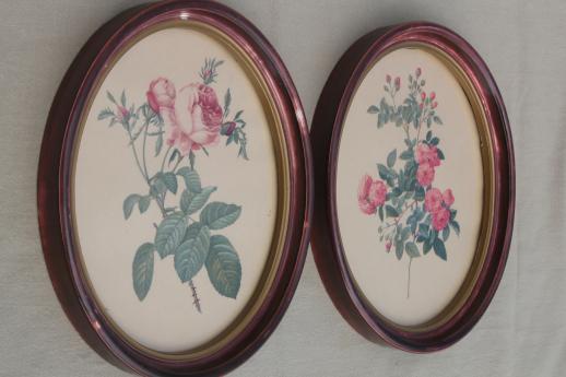 Redoute roses floral botanical prints, pair of vintage pictures in oval frames