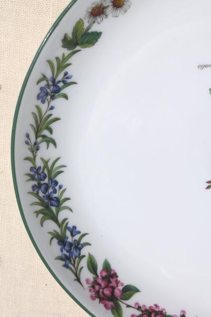 Royal Worcester Herbs English china platter, Sage illustration botanical floral