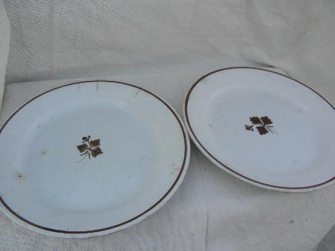 Tea Leaf copper luster antique vintage white ironstone china plates lot