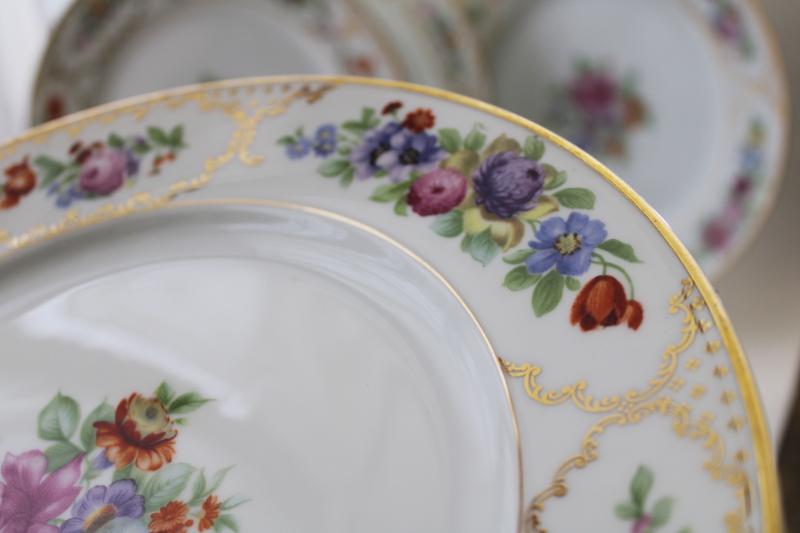 The Dresden multi colored floral Rosenthal Bavaria china, set of four large dinner plates