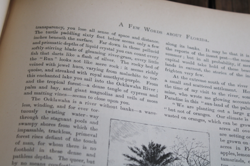 The Womans World 1880s vintage bound book Victorian era ladies magazine edited by Oscar Wilde