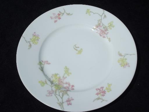 Theodore Haviland vintage pink floral china plates for 6 in three sizes