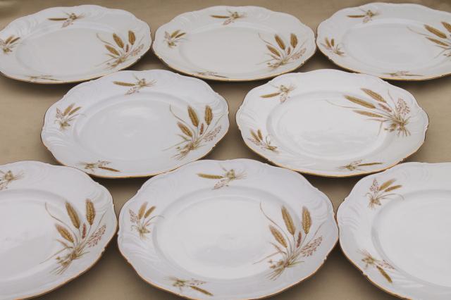 Winterling Bavaria autumn harvest wheat pattern china dinner plates, mid-century vintage