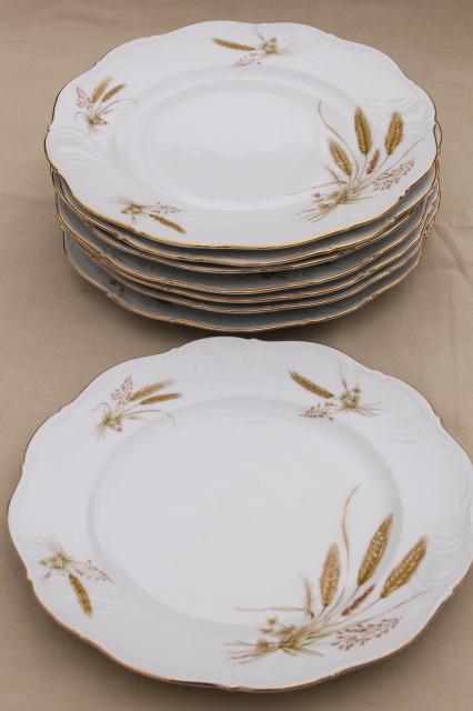 Winterling Bavaria autumn harvest wheat pattern china dinner plates, mid-century vintage
