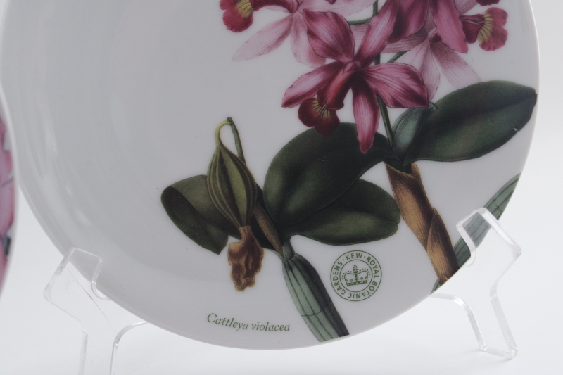 World Market Kew Royal Botanic Gardens china salad plates Paeonia  Cattleya prints