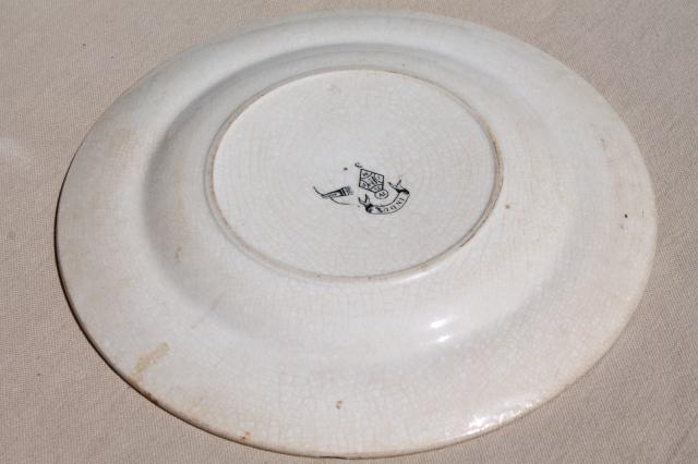 aesthetic antique china plate, Indus birds & pond grasses, black transferware china