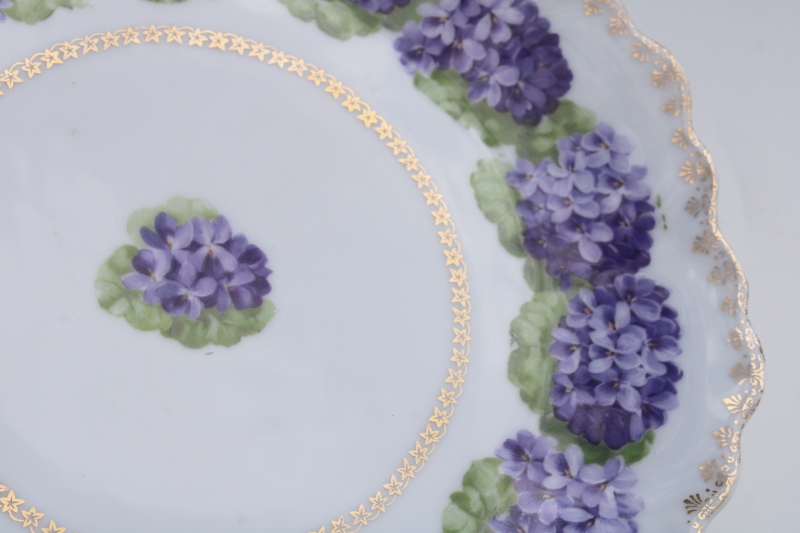 antique Bavaria china plate hydrangeas floral, lavender blue snowball bush flowers