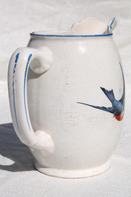 antique Buffalo china w/ bluebirds, vintage blue bird pitcher or milk jug