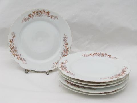 antique German transferware china plates, floral pattern in muted colors