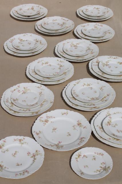 antique Haviland Limoges china plates for 12, complete set luncheon plates, salad, bread plates