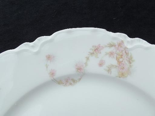antique Haviland Limoges china plates, pink rose hanging garland floral