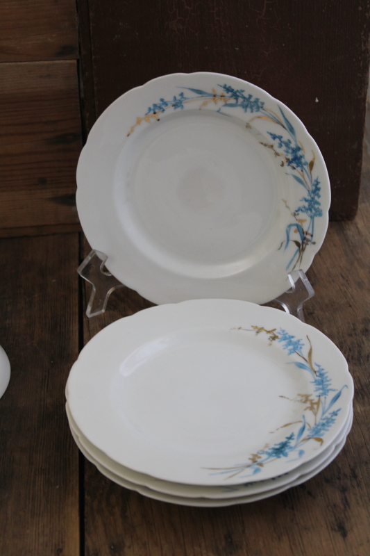 antique Haviland china plates  tea cups w/ deep bowl saucers, art nouveau style grasses flowers aqua  gold