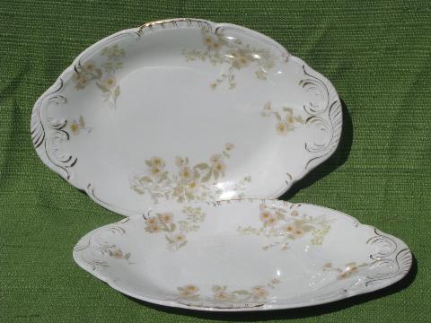 antique Henry Alcock - England china platters, marguerite daisy floral