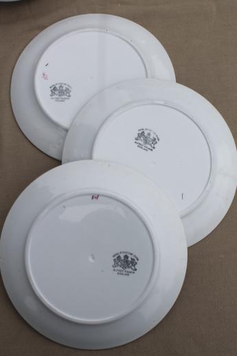 antique Tea Leaf ironstone china plates lot of eight, Wedgwood & Alfred Meakin