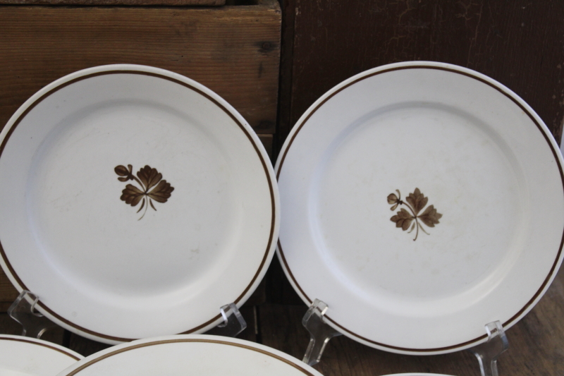 antique Tea Leaf ironstone china plates, nice old Royal Arms marks, 1890s vintage Alfred Meakin