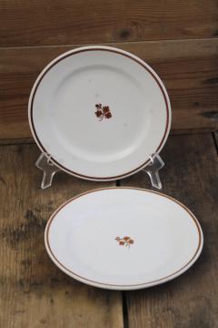 antique Tea Leaf ironstone china plates, nice old Royal Arms marks Burgess Mellor, Taylor