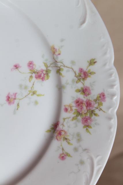 antique Theo Haviland France china dinner plates, embossed shape, pink rose spray