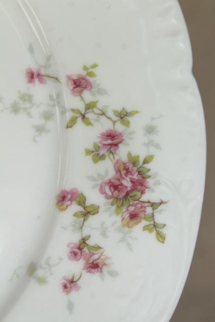 antique Theo Haviland France china dinner plates, embossed shape, pink rose spray